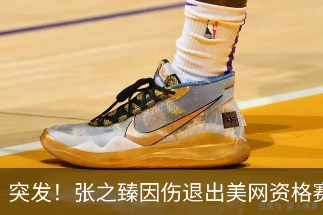突发！张之臻因伤退出美网资格赛 今年四大满贯全未过首轮